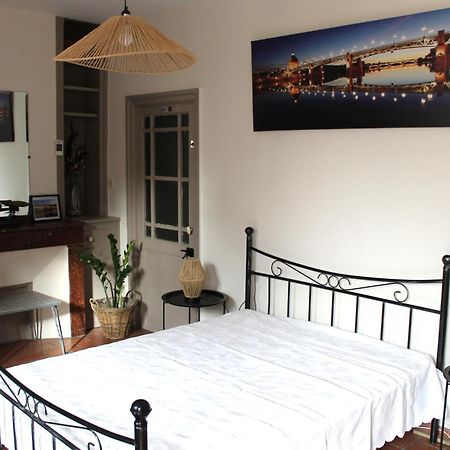 Maison Toulousaine Avec Jardin Τουλούζη Εξωτερικό φωτογραφία
