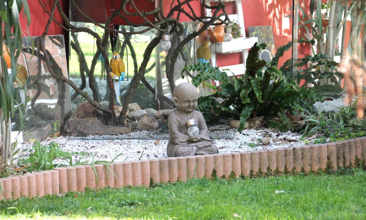 Maison Toulousaine Avec Jardin Τουλούζη Εξωτερικό φωτογραφία
