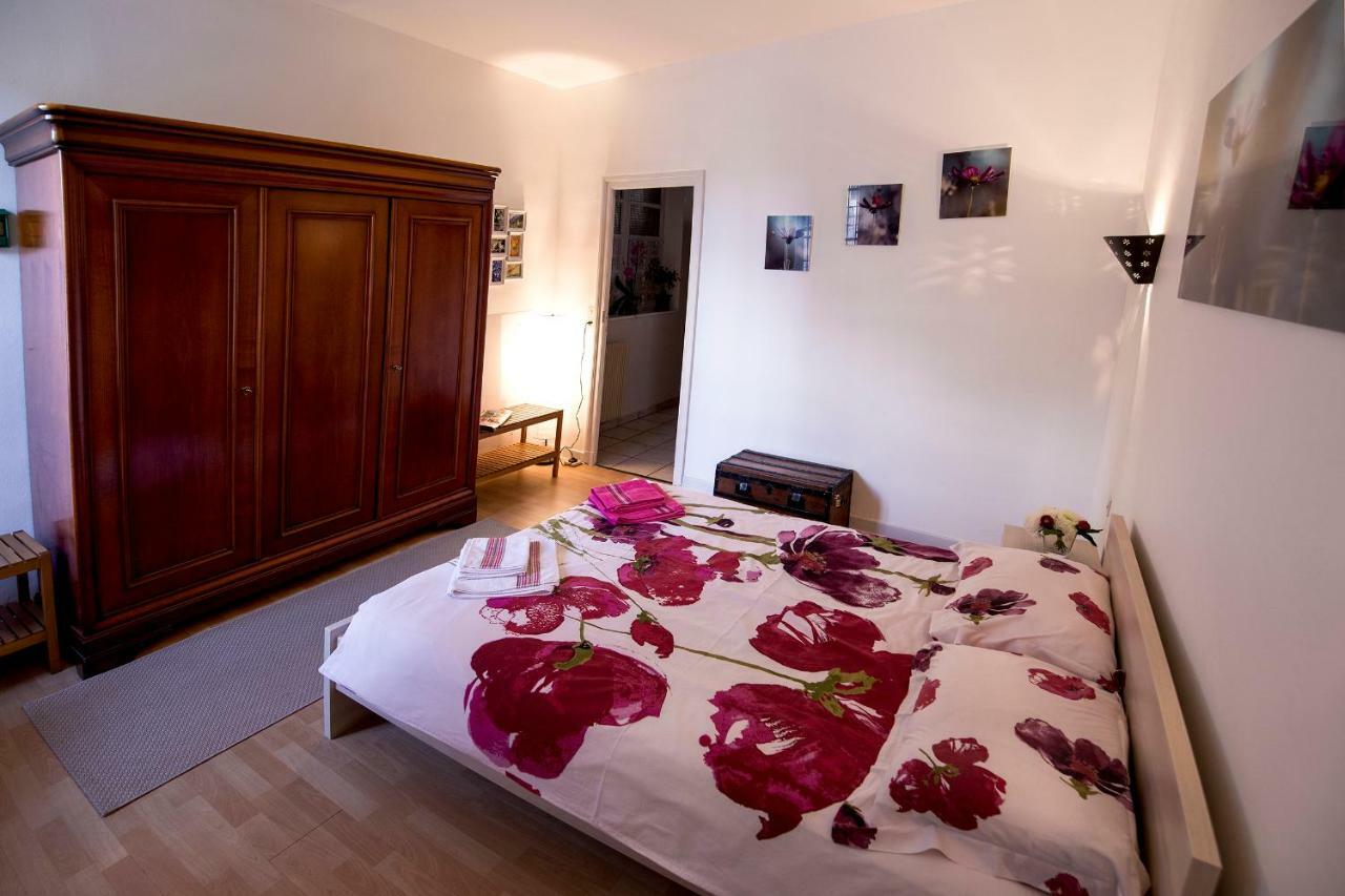 Maison Toulousaine Avec Jardin Τουλούζη Εξωτερικό φωτογραφία